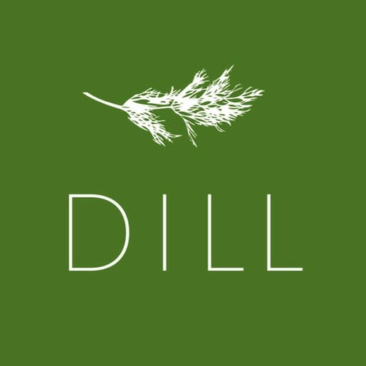 Icelandic Restaurant Dill is the Country's First Michelin Star Recipient