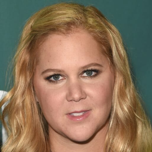Amy Schumer Stole Everything (Take It From Us, The Coolest Kids In Her High School)