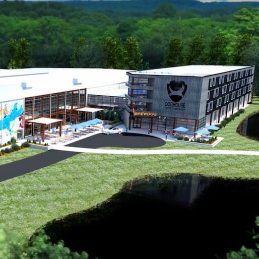 Brewdog's New Hotel Will Have Beer Jacuzzis