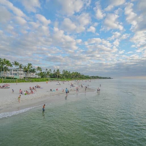Checklist: Naples, Florida