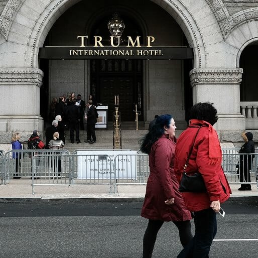 Trump Organization Looking to Expand Nationally, Open Up Second D.C. Hotel