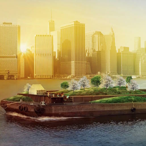 NYC's Floating Forest is Back and Better Than Ever
