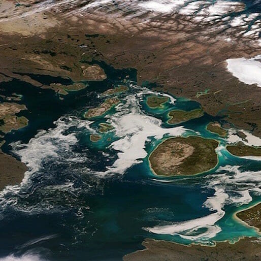 Phytoplankton Thrive In Warmer Arctic Seas