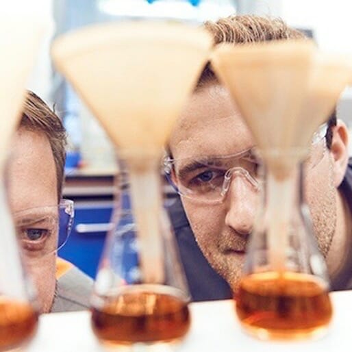 Create a Custom Beer with Your DNA