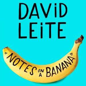 David Leite’s Notes on a Banana Delivers the Best Portrait of Bipolar Disorder. I Would Know.