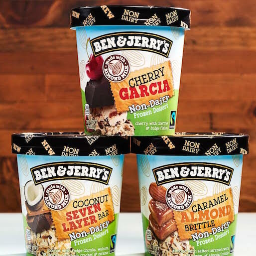 Taste Test: Ben and Jerry's New Non-Dairy Flavors