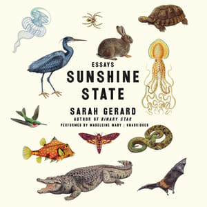Sarah Gerard's Sunshine State Highlights Florida’s Insanity—and Its Role in Our Future