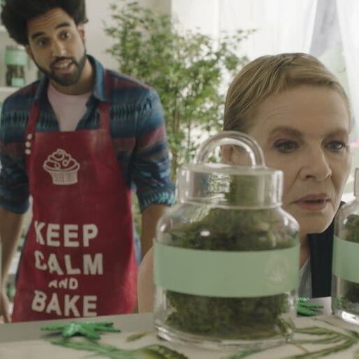 The Slow Evolution of Stoners on TV