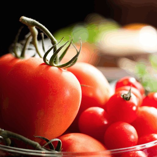 10 Steps Toward an Eco-Friendly Kitchen