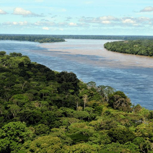 EarthRx: The Amazon Is Not a Wilderness, It’s an Advanced Permaculture Food Forest