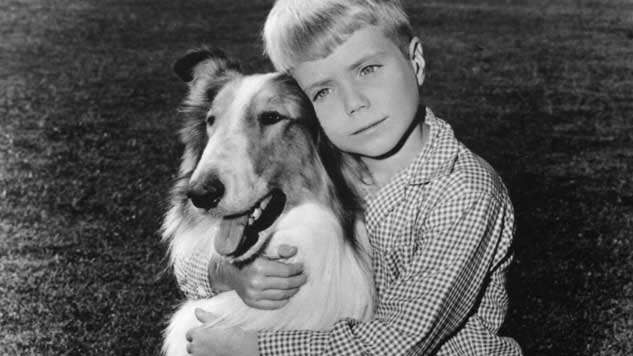 The 10 Greatest TV Animals, from Lassie to Lost