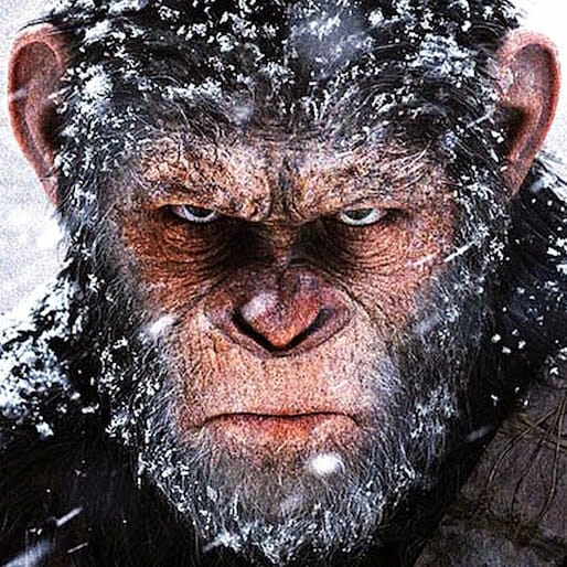 20th Century Fox Releases Final Trailer for War for the Planet of the Apes