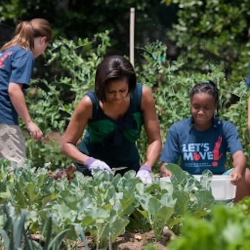 Michelle Obama Is Not a Fan of the Trump Administration's New School Lunch Rules