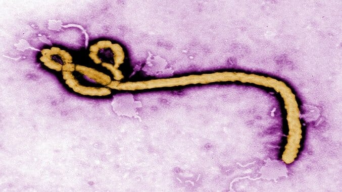 Ebola Update: 3 People Have Died in Africa’s Most Recent Outbreak
