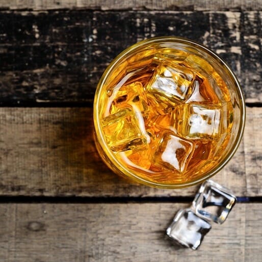 8 Summer Booze Festivals You Need to Attend