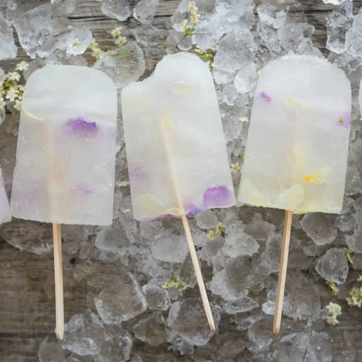 How To Make The Wine Popsicles Your Picnic Deserves