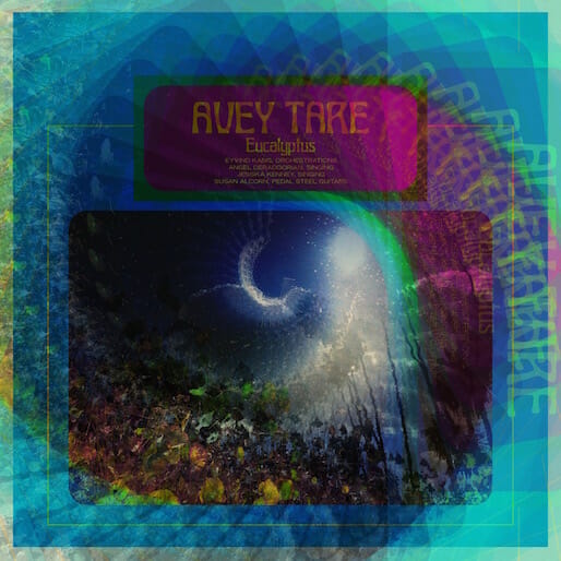 Avey Tare of Animal Collective Announces New Album Eucalyptus