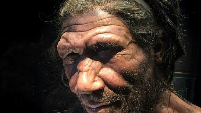 Human Ancestors May Have Mated with Neanderthals