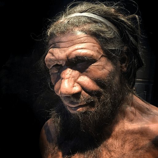 Human Ancestors May Have Mated with Neanderthals