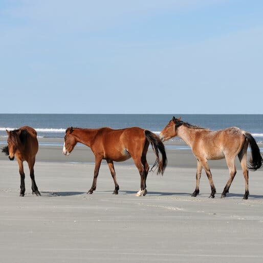 5 Foreign, Forgotten and Fabulous U.S. Islands