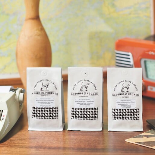 What Exactly Is Single Origin Coffee, and Why Should You Care?