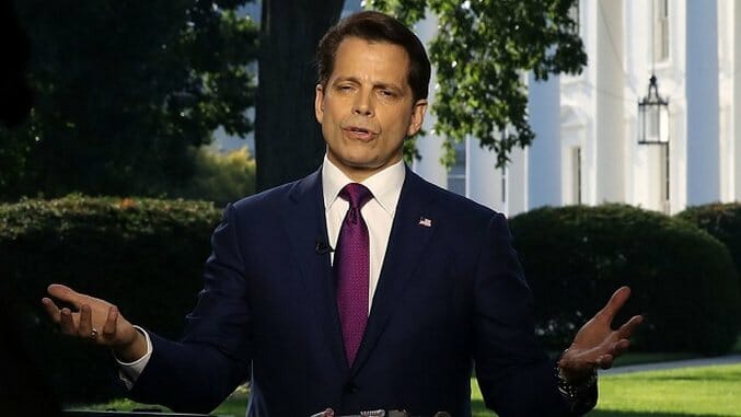 The Funniest Tweets About Anthony Scaramucci’s Amazing Meltdown