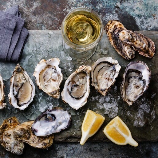 Pairing Oysters with Beer, Wine and Booze