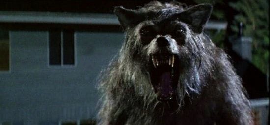 25 Best Werewolf Movies of All Time