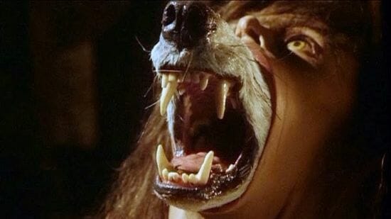 25 Best Werewolf Movies of All Time