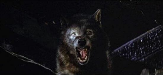 12 Lycanthrope Movies With The Best and Most Inventive Werewolves