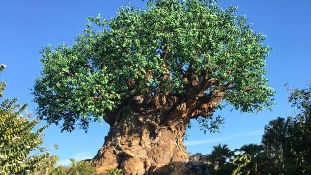 The 10 Best Attractions at Disney’s Animal Kingdom