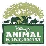 The 10 Best Attractions at Disney's Animal Kingdom