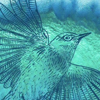 Exclusive Cover Reveal: Summer Bird Blue by Akemi Dawn Bowman