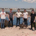 Rolling Blackouts Coastal Fever Return With New Single, 