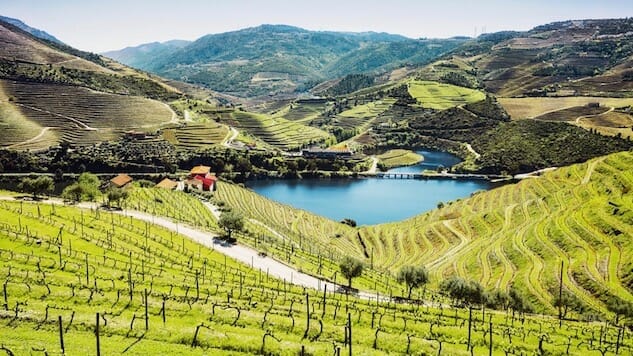 52 Wines in 52 Weeks: Understanding Wines of the Douro Valley
