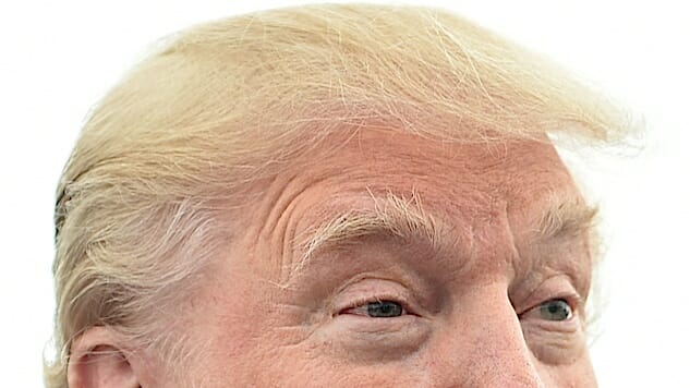 It Is Superficial to Make Fun of Donald Trump’s Unfortunate Hair Incident. Please Everyone Stop.