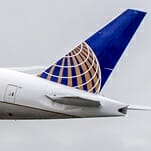 Puppy Dies During Flight After a United Airlines Flight Attendant Forced It Into an Overhead Bin