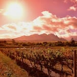 52 Wines in 52 Weeks: Rediscovering the Suddenly Hip Chenin Blanc