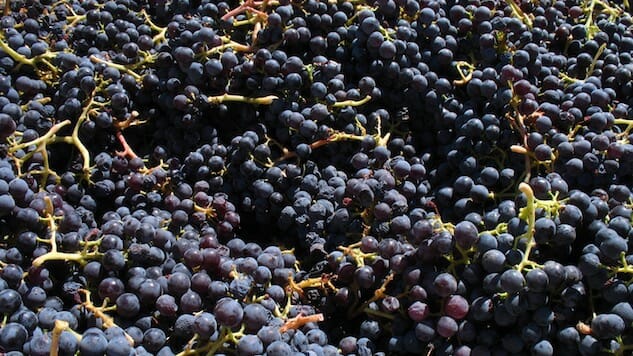 52 Wines in 52 Weeks: Grenache is Liquid Summer