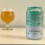6 Seasonal Goses Built for Summer