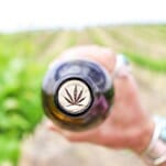 We Finally Try Weed-Infused Wine