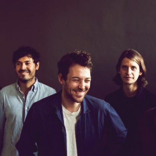 Fleet Foxes Share Rarity 