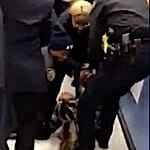 Video: NYC Police Tore a Woman's One-Year-Old Son from Her Arms Because She Sat on the Floor at a Food Stamp Office