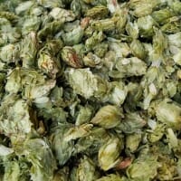 What It's Like to Select Hops With Jim Koch from Sam Adams