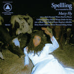 SPELLLING: Mazy Fly