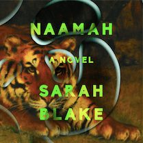 Sarah Blake's Naamah Is the Feminist Bible Retelling We Need in 2019