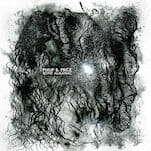 No Album Left Behind: Philip B. Price’s Bone Almanac