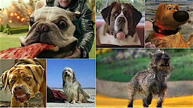 633px x 356px - Best in Shows: The 100 Most Iconic Dogs in Movies - Paste Magazine