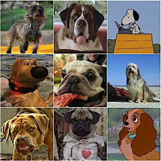 Best in Shows: The 100 Most Iconic Dogs in Movies