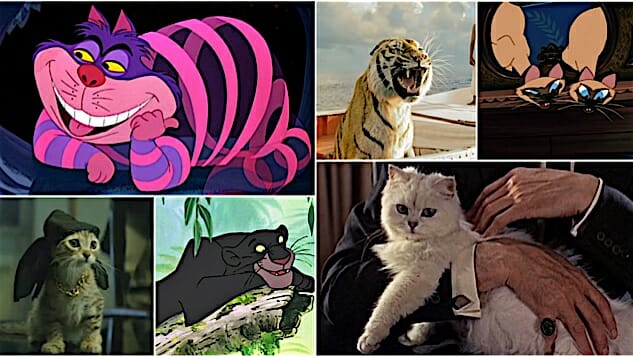 Meow Mix: The 100 Most Iconic Cats in Movies